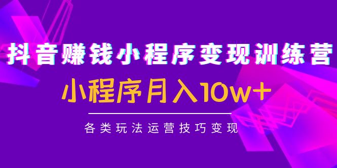 （4511期）抖音赚钱小程序变现训练营：小程序月入10w+各类玩法运营技巧变现