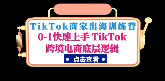 （4795期）TikTok商家出海训练营：0-1快速上手 TikTok跨境电商底层逻辑(无中创水印)