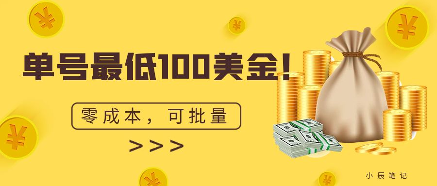 （6975期）单号最低100美金，零成本，小白无脑操作。可复制，可扩大。