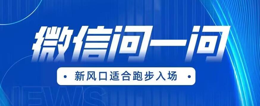 全网首发微信问一问新风口变现项目（价值1999元）【揭秘】