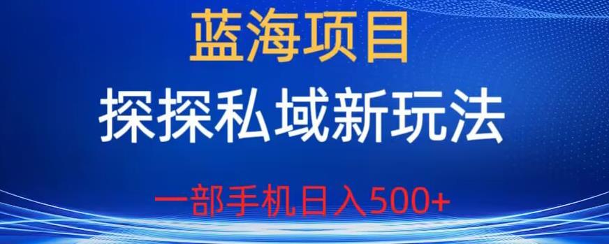 蓝海项目，探探私域新玩法，一部手机日入500+很轻松【揭秘】