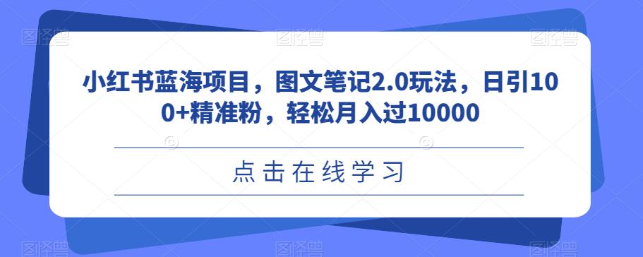 小红书蓝海项目，图文笔记2.0玩法，日引100+精准粉，轻松月入过10000【揭秘】