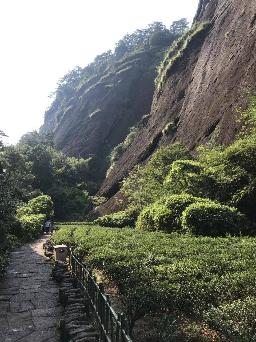 武夷山自由行住宿攻略_武夷山上住宿_武夷山住宿