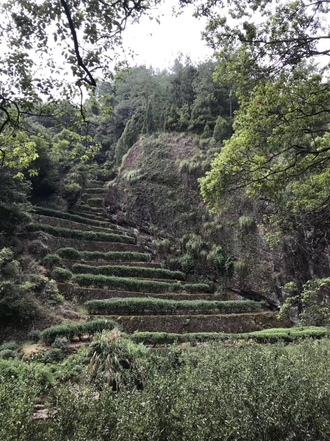 武夷山自由行住宿攻略_武夷山上住宿_武夷山住宿