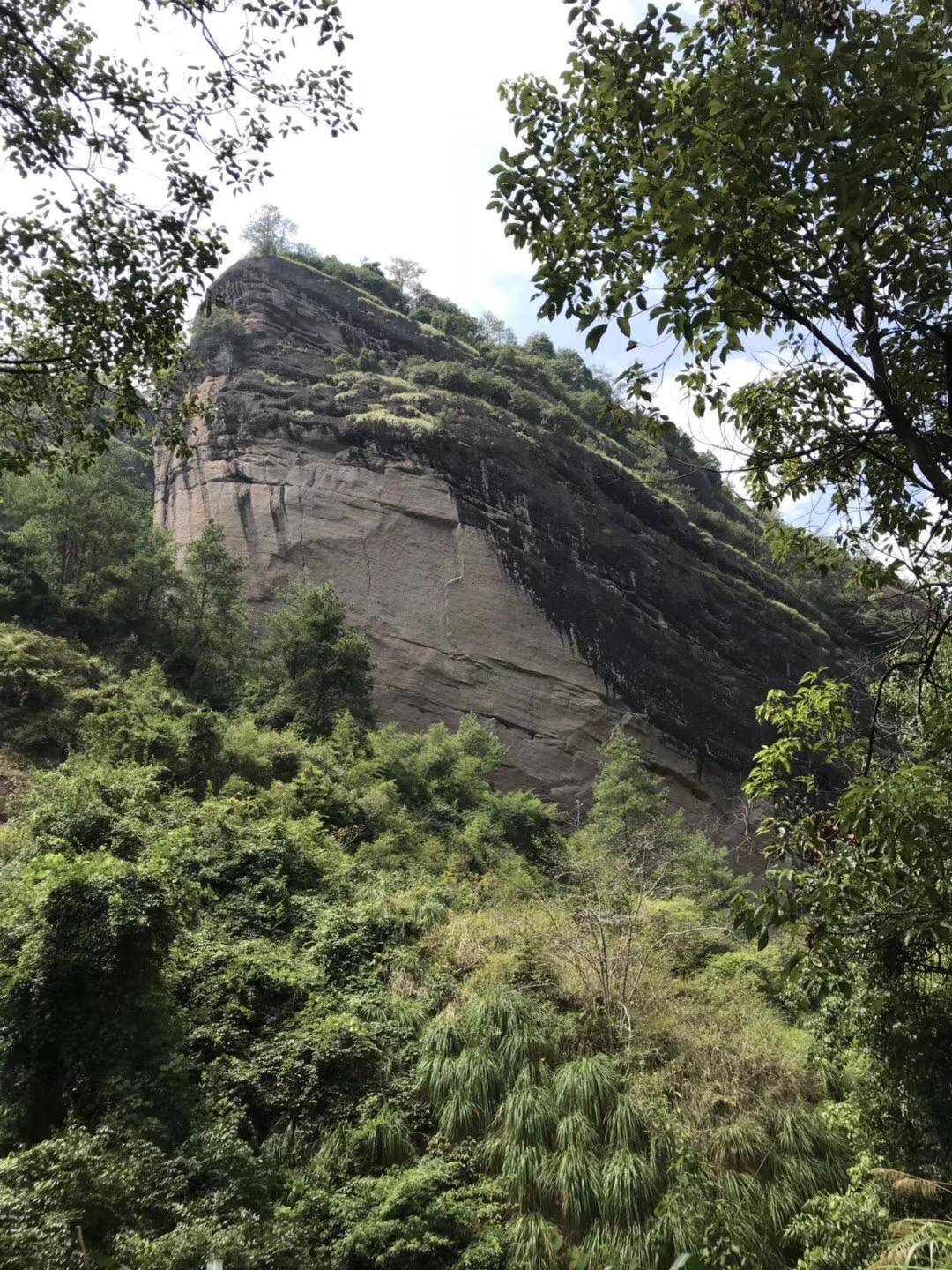 武夷山住宿_武夷山自由行住宿攻略_武夷山上住宿