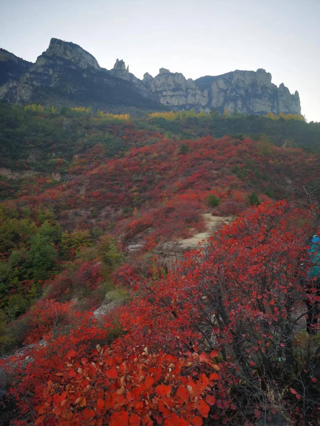 太行大峡谷自驾二日游攻略_太行大峡谷自驾_太行大峡谷自驾游攻略