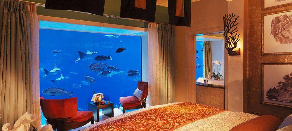 迪拜水下酒店住一晚多少钱_迪拜水下酒店_迪拜酒店水下套房