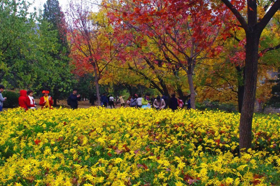 香山公园门票_门票香山公园免费吗_门票香山公园免票吗