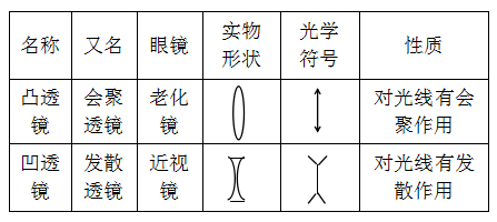 放大镜成像原理_成像放大镜原理是什么_放大镜成像