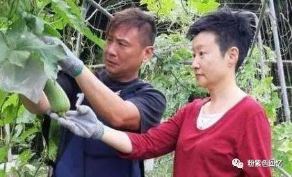 对手电视剧演员表-张世：曾是胡歌的最强对手，演赵高让人恨之入骨，如今怎么样了？_80楼网赚论坛|80楼网创
