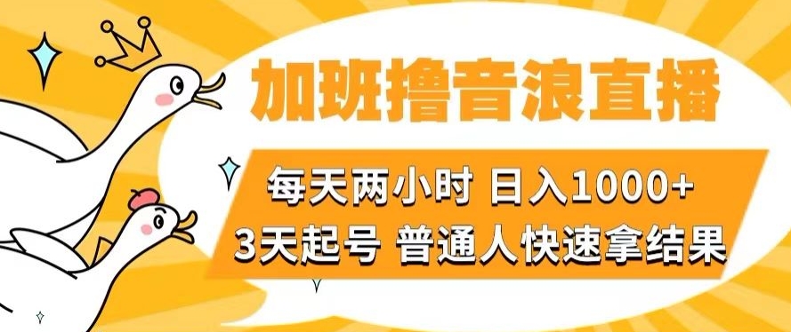 加班撸音浪直播，每天两小时，日入1000+，直播话术才3句，3天起号，普通人快速拿结果【揭秘】_94轻创网