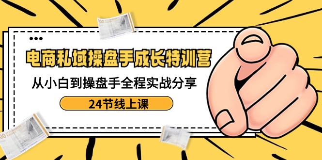 电商私域操盘手成长特训营：从小白到操盘手全程实战分享-24节线上课_双新云轻创