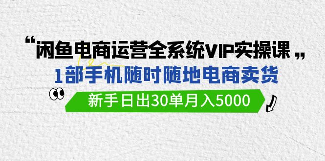 闲鱼电商运营全系统VIP实战课，1部手机随时随地卖货，新手日出30单月入5000_双新云轻创