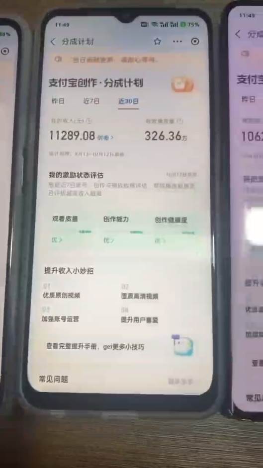 （12970期）2024年底最稳项目，小白无门槛，坚持做三个月，回家过肥年！！！