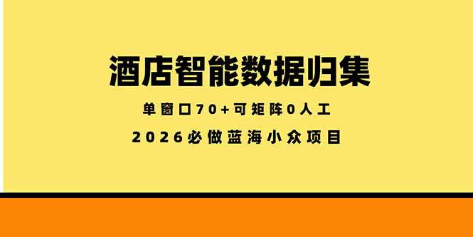 （18500期）酒店智能数据归集，小众蓝海已经稳定半年之久，单窗口70+零成本矩阵开干