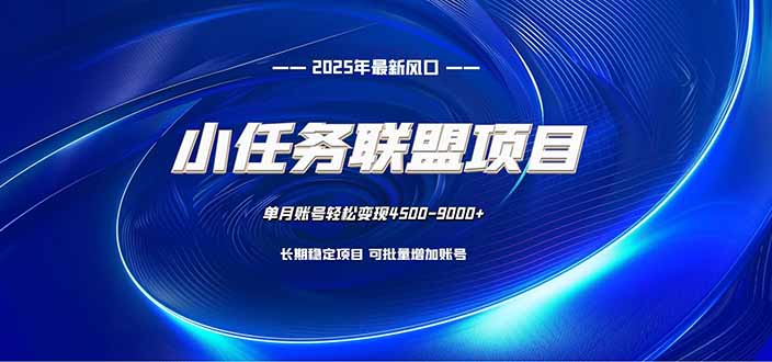 (16521期)小任务联盟项目:一台电脑每天只需10分钟,轻松简单稳定