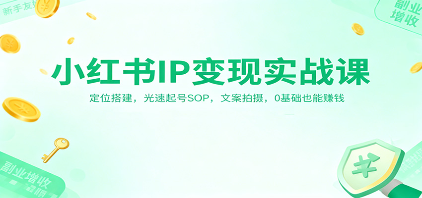 小红书IP变现实战课:定位搭建,光速起号SOP,文案拍摄,0基础也能赚钱